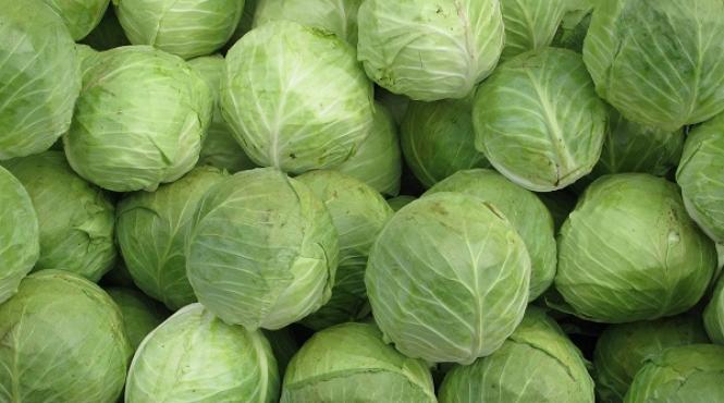 cura de 3 saptamani cu suc de varza vindeca ulcerul gastric