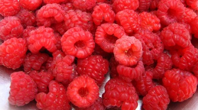 reteta zilei de luni dulceata de zmeura reteta bunicii