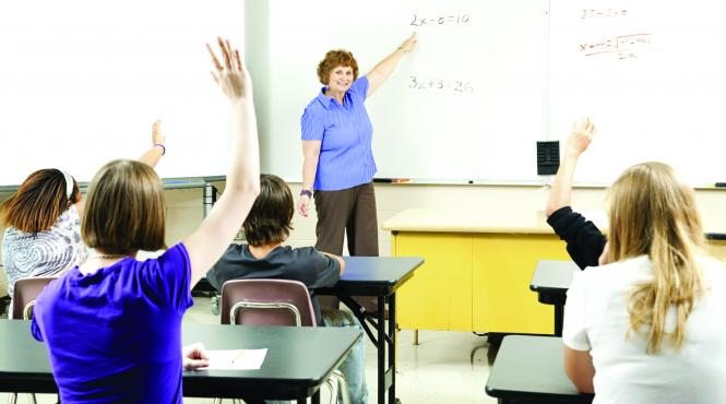 scolile particulare merita