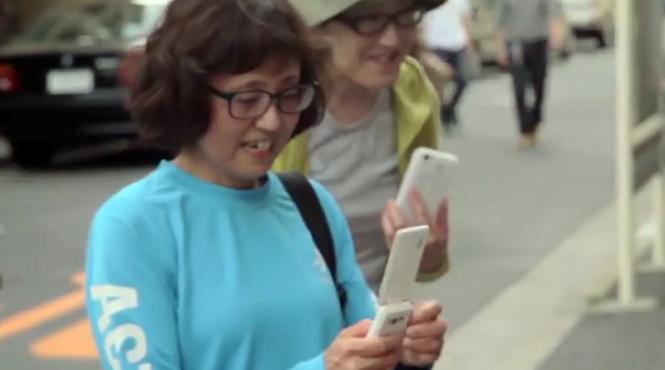 ce animal de casa isi plimba un japonez video viral