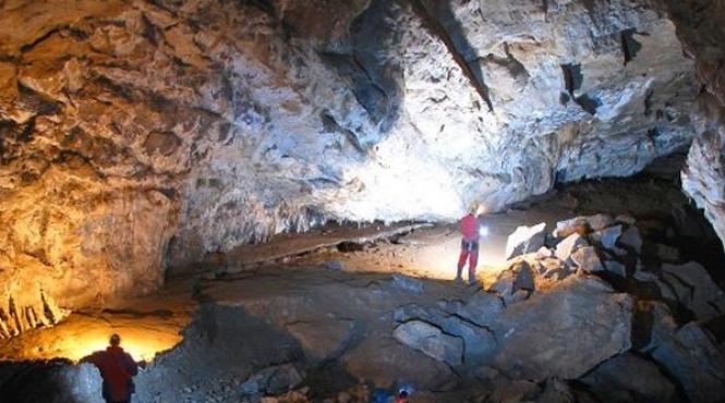 5 specii de lilieci din cea mai adanca pestera de calcar din romania protejate din fonduri europene