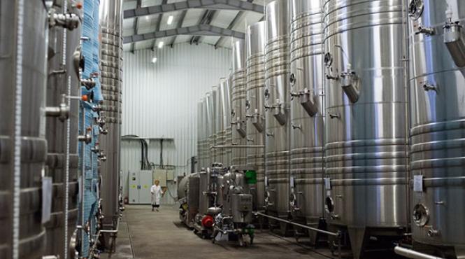 falsificatorii de vinuri trimisi in pivnite cu gratii