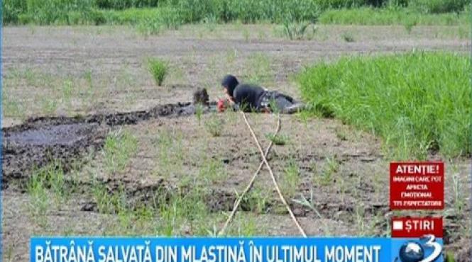 batrana salvata in ultima clipa dintr o mlastina
