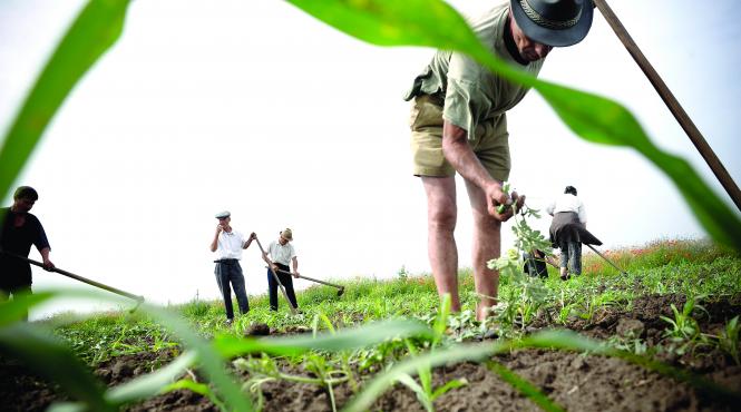 cat de saraci sunt cei mai avuti dintre romani