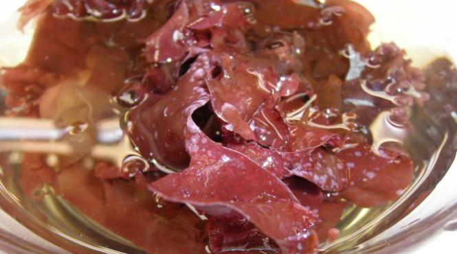 cercetatorii creeaza lucruri trasnite