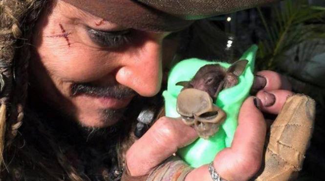 johnny depp are un nou prieten pe care il hraneste cu biberonul video