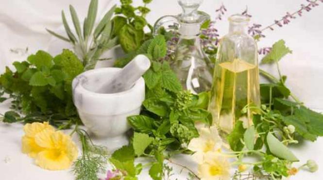 leacuri batranesti pentru pardalnicele boli ale tineretii retete secrete dinn farmacia naturii