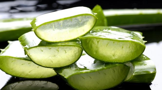 incredibil o planta pe care o cresti acasa in ghivece vindeca miraculos 100 de boli