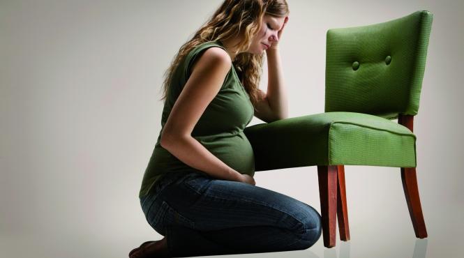 profit din fertilitate nasc un copil pentru o locuinta