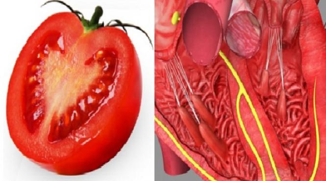 8 tratamente miraculoase natura ne spune ce ne vindeca dand plantelor forma organelor bolnave