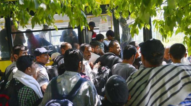 romania are specialisti in migratie