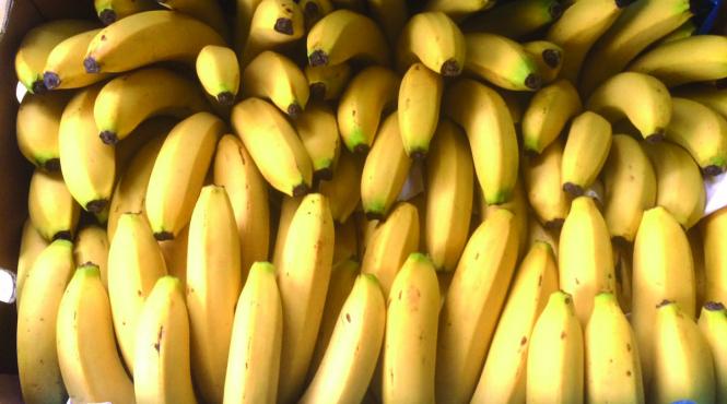 te legi la cap sefule afaceri en gros care nu au cunoscut factura