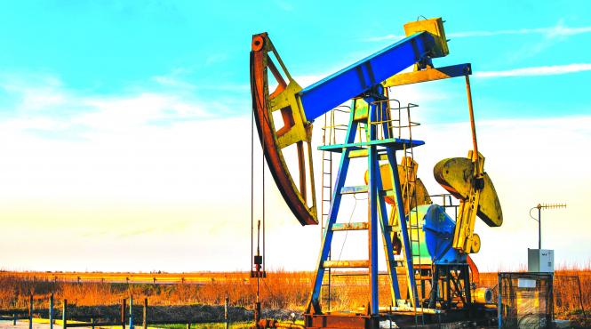 avem 46 de firme mari in regiune