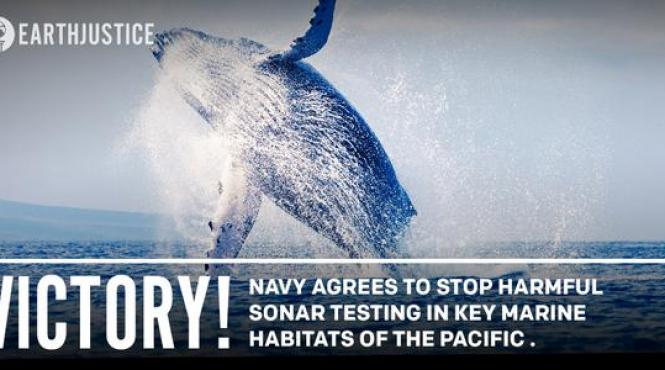 hotarare istorica a marinei militare a sua