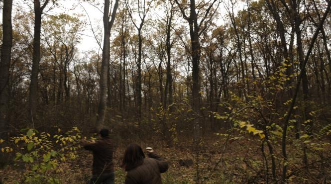 procurorii diicot au destructurat o grupare specializata in taieri ilegale de paduri