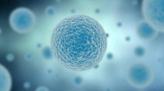 cercetatorii britanici vor sa modifice genetic embrioni umani