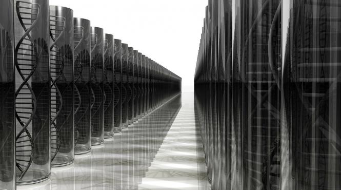 harta genetica a 2 3 milioane de specii de vietuitoare in format digital