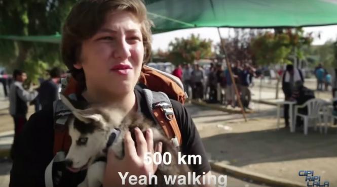 video aslan si rose povestea adolescentului sirian care calatoreste alaturi de catelusa lui