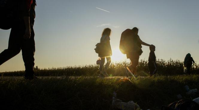 ce a declansat doua proceduri de infringement in cazul romaniei pentru neimplementarea legislatiei privind azilul