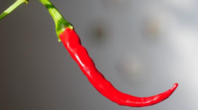 mirodenia care iti poate salva viata