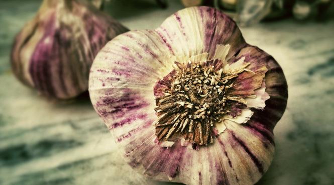 reteta tibetana veche de 5000 de ani care trateaza bolile pulmonare hipertensiunea gastrita si reumatismul