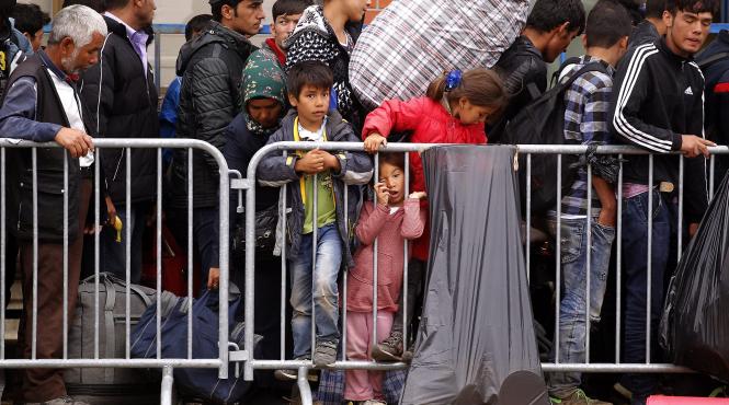 refugiatii asteptati la munca in agricultura si constructii