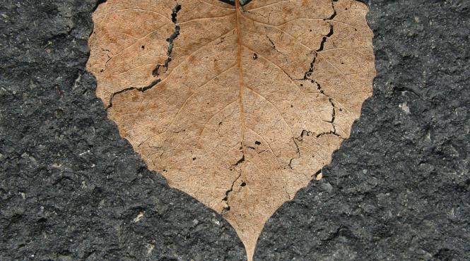 inima franta nu este doar o metafora e o boala uneori mortala