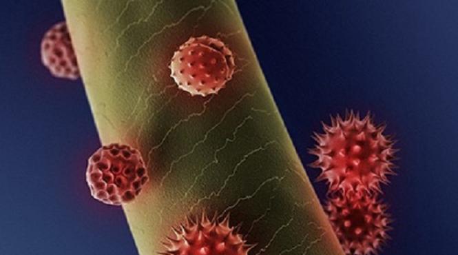 vrei sa te feresti de alergii iata alimentele care trebuie evitate