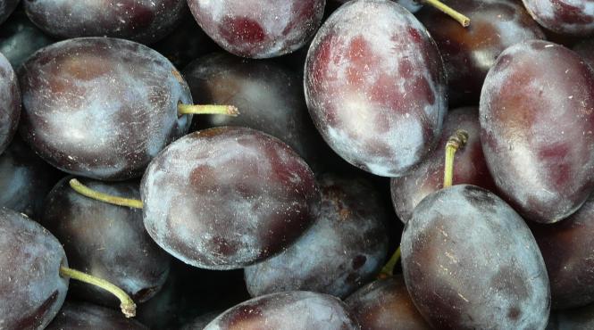 medicamentul miraculos din prune ce boli trateaza