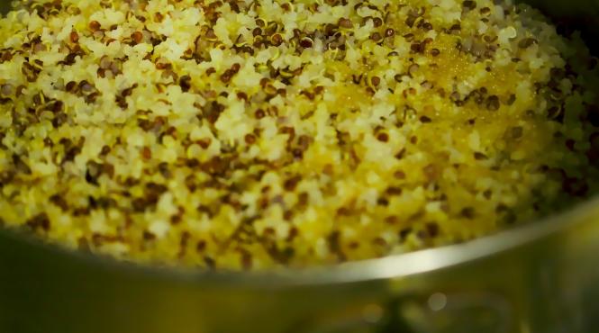 quinoa alimentul preferat al incasilor
