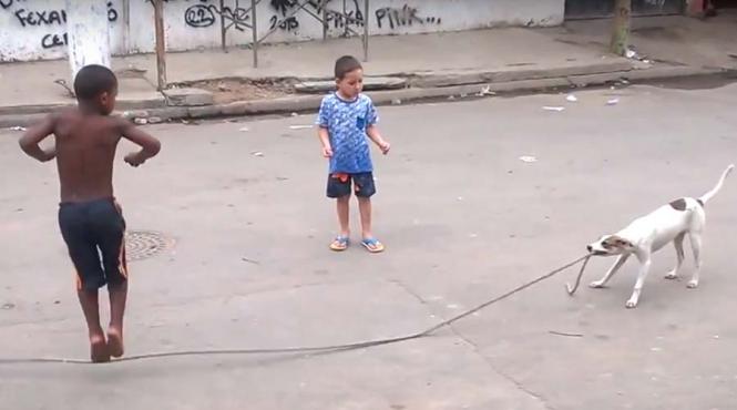 video de ce un copil poate fi inlocuit cu un caine