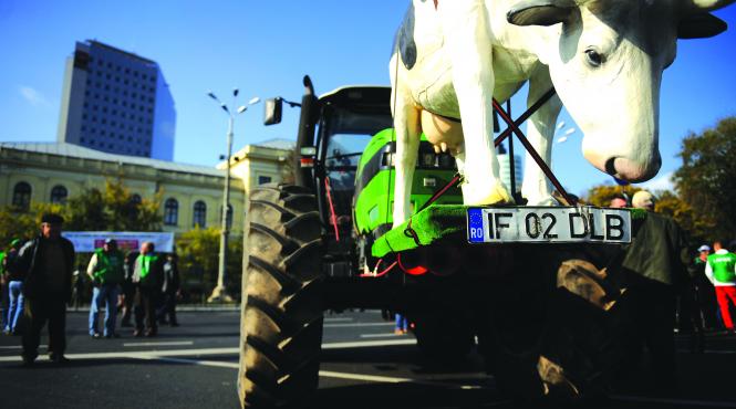 fermierii ies din nou in strada