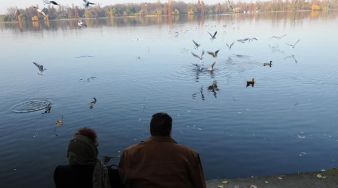 prognoza meteo cum va fi vremea pe 7 8 si 9 octombrie