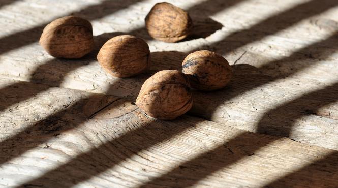 ce alimente trebuie sa consumam pentru buna functionare a creierelui