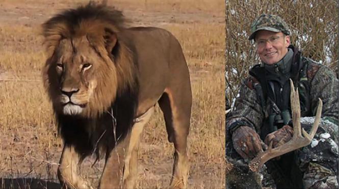 dentistul care l a ucis pe leul cecil nu va fi judecat in zimbabwe