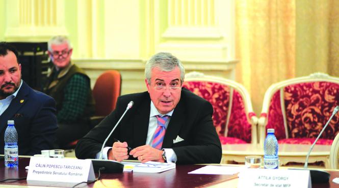 comitete si comitii fara rost si fara activitate in parlament