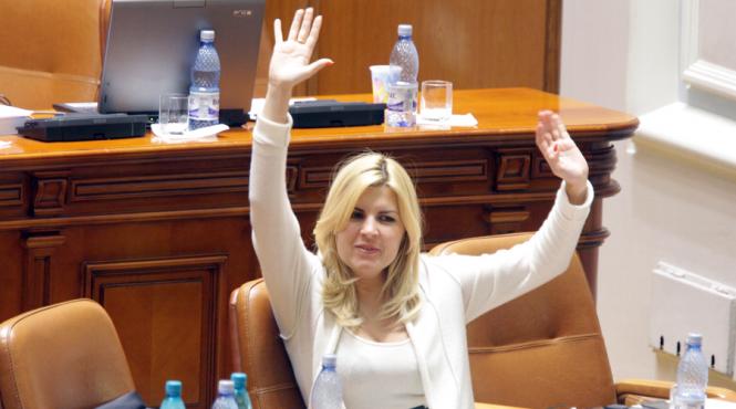 alerta elena udrea recunoaste ca a luat bani