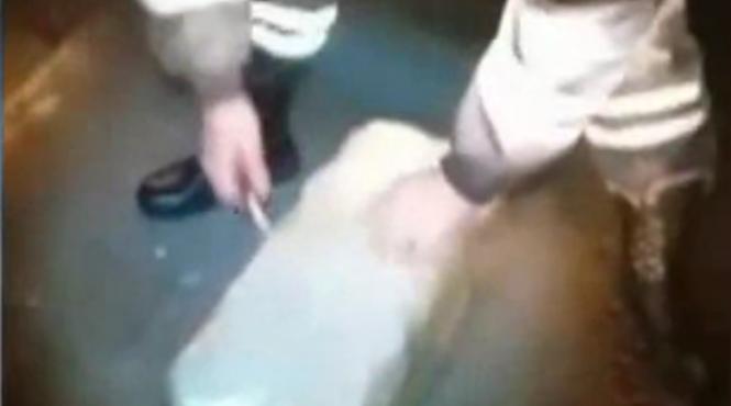 video ce au gasit politistii in sicriul dintr un vehicul mortuar