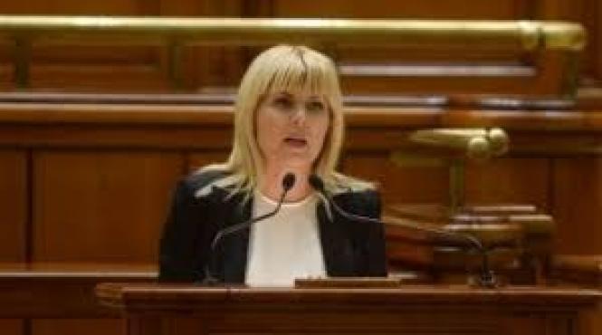 elena udrea din nou la dna