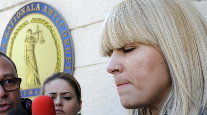 afacerista udrea 10 million dollar baby