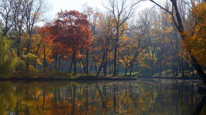 prognoza meteo cum va fi vremea in urmatoarele 7 zile