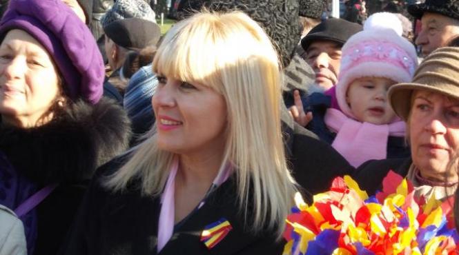 cine a pus milionul de euro pentru libertatea elenei udrea