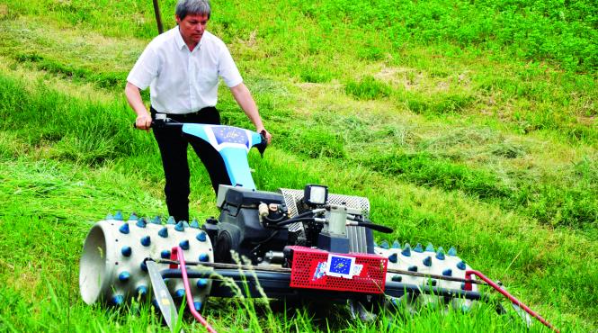 programul guvernarii minimaliste pe repede inainte