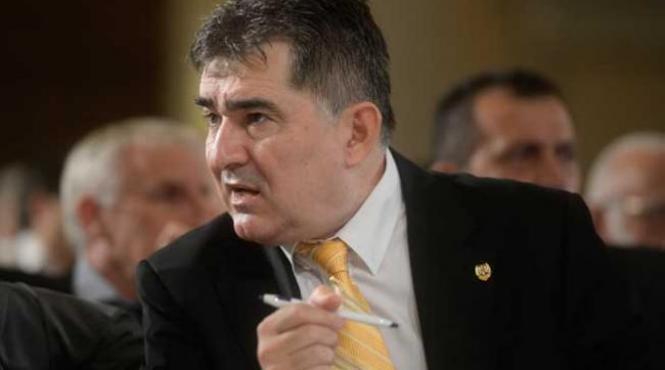 ioan ghise s a inscris in ppu