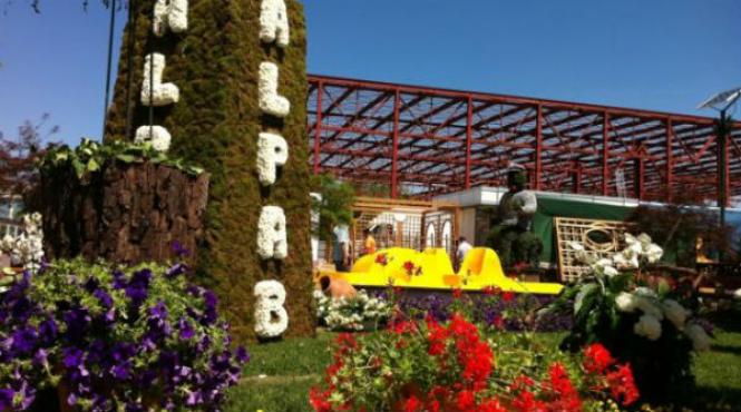 perchezitii la administratia cimitirelor din bucuresti si alpab