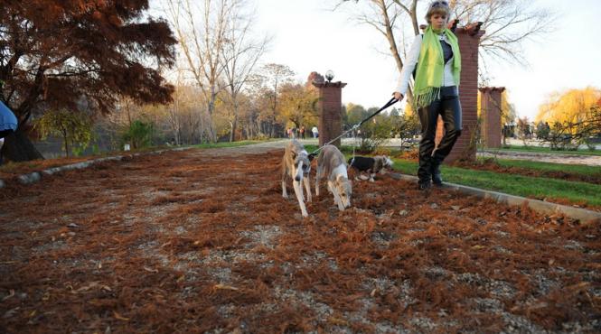 prognoza meteo pentru weekend ul 21 22 noiembrie