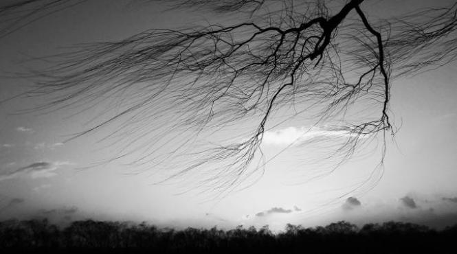 15 localitati sucevene fara energie electrica din cauza vantului puternic