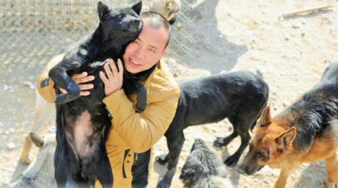 un milionar chinez si a cheltuit intreaga avere pentru salvarea cainilor vagabonzi de la abator