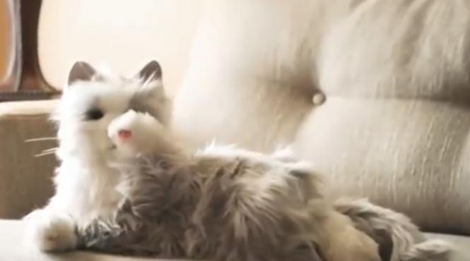 pisici robot care arata si miauna intocmai ca micutele feline pentru iubitorii de animale de companie