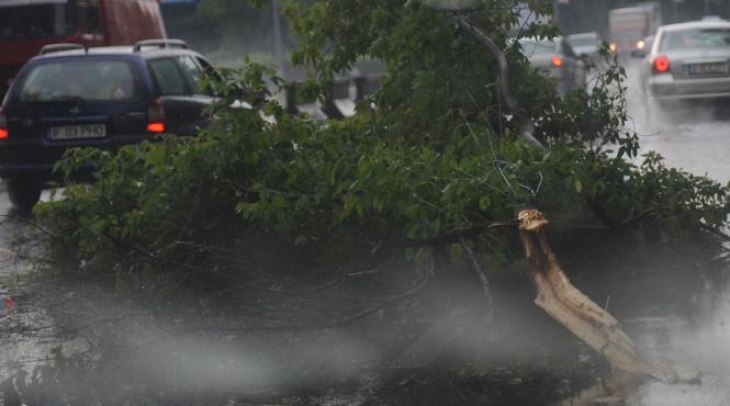 circulatia pe dn 13 b gheorgheni praid a fost oprita pentru indepartarea arborilor de pe carosabil